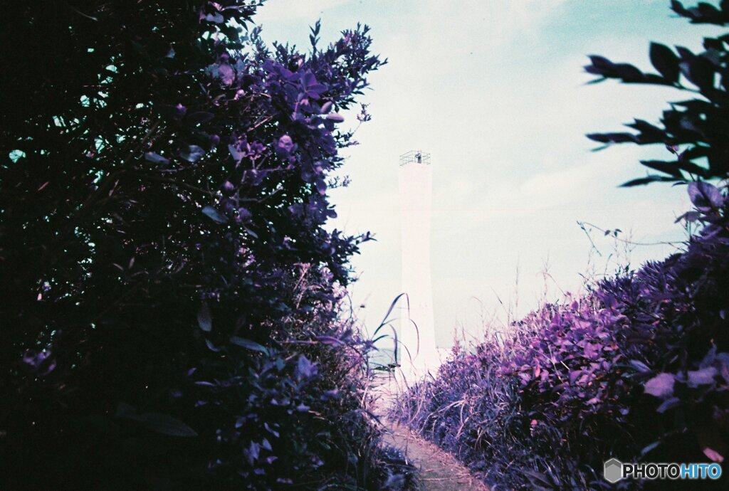 20200407_lomo_La-c+_2019LomochromePurple