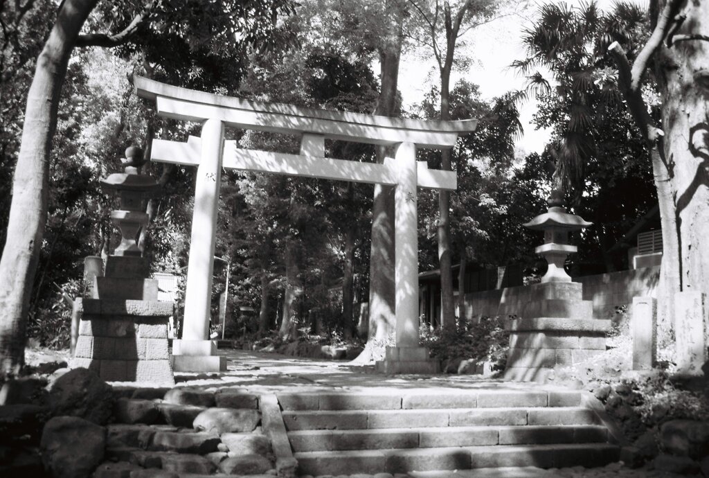 20200426_0502__CANON F-1_ACROS100 II (26