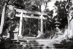 20200426_0502__CANON F-1_ACROS100 II (26