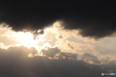 CANON9000D_EF55-250mm (4)