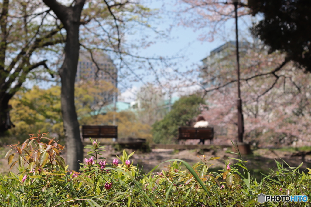 CANON9000D_EF50mm1,8F (5)