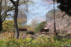 CANON9000D_EF50mm1,8F (5)