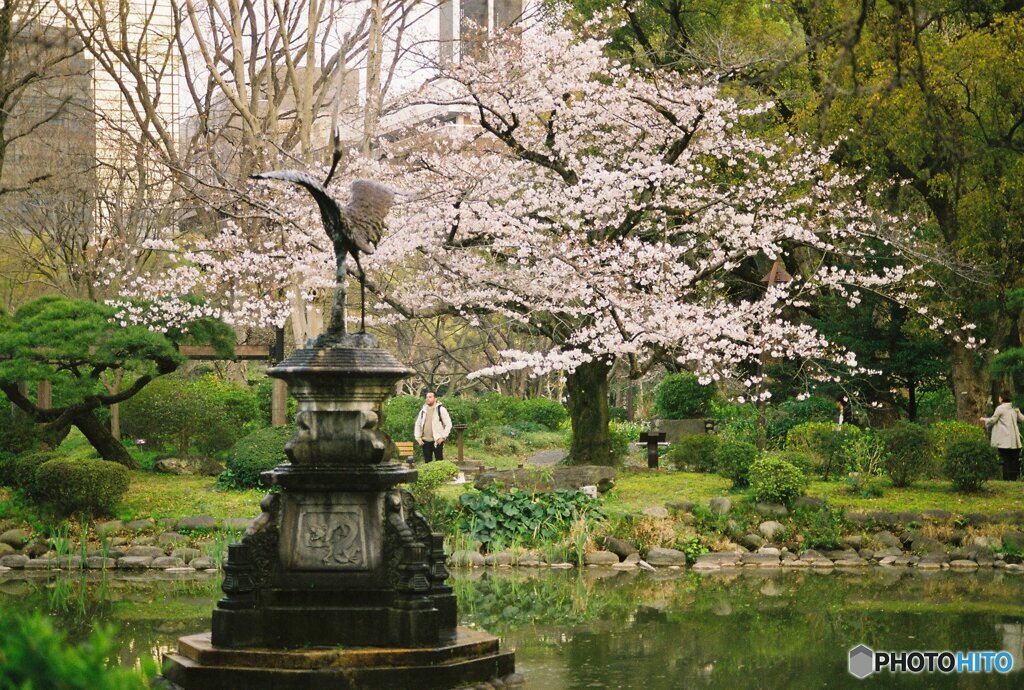 20200322_CANON F-1_フジカラー PRO400H (32)