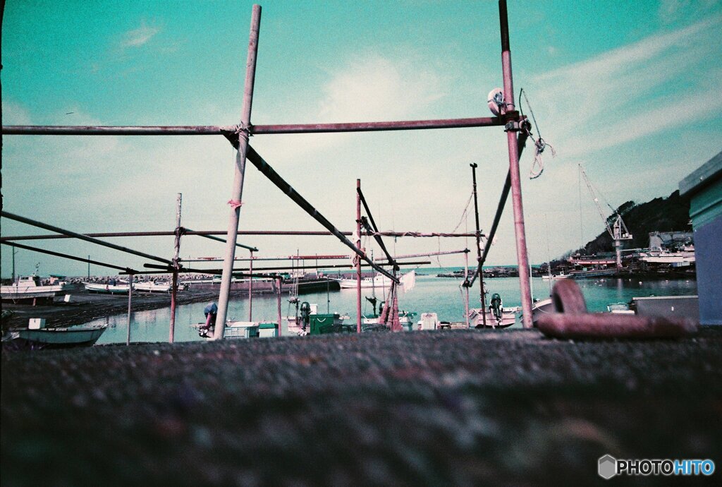 20200407_lomo_La-c+_2019LomochromePurple