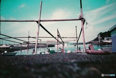20200407_lomo_La-c+_2019LomochromePurple