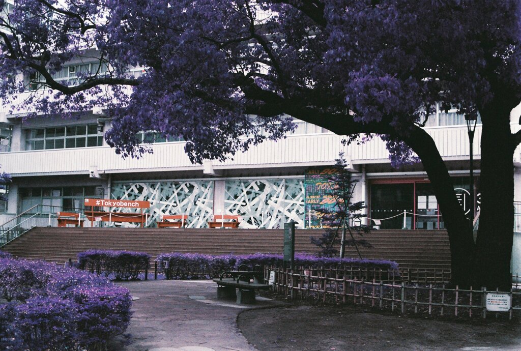 20200412_0426_CANON F-1_2019LomochromePu