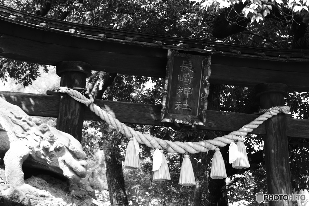 9000D_20200430 (10)