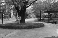 9000D_20200426 (14)