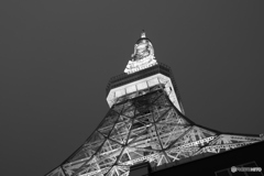 9000D_20200426 (37)