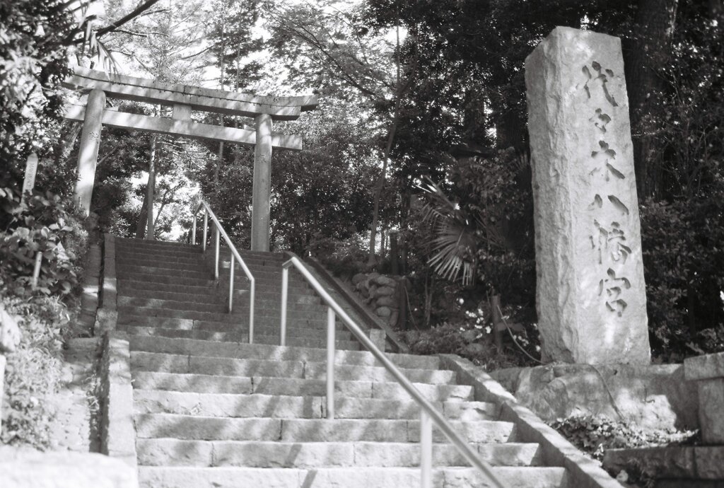 20200426_0502__CANON F-1_ACROS100 II (25