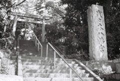 20200426_0502__CANON F-1_ACROS100 II (25