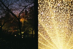 20191116_Olympus Pen EE-3_FUJIFILM200C_ 