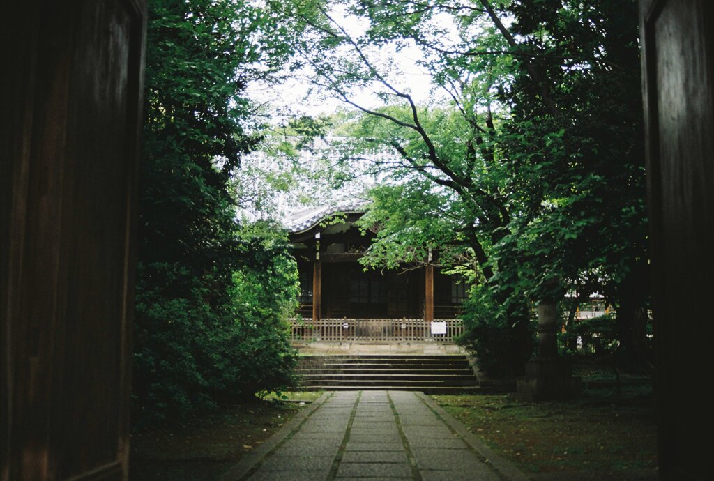 雑司ヶ谷
