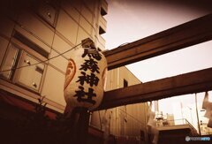 20200320LC-A_metropolis_linedown (2)