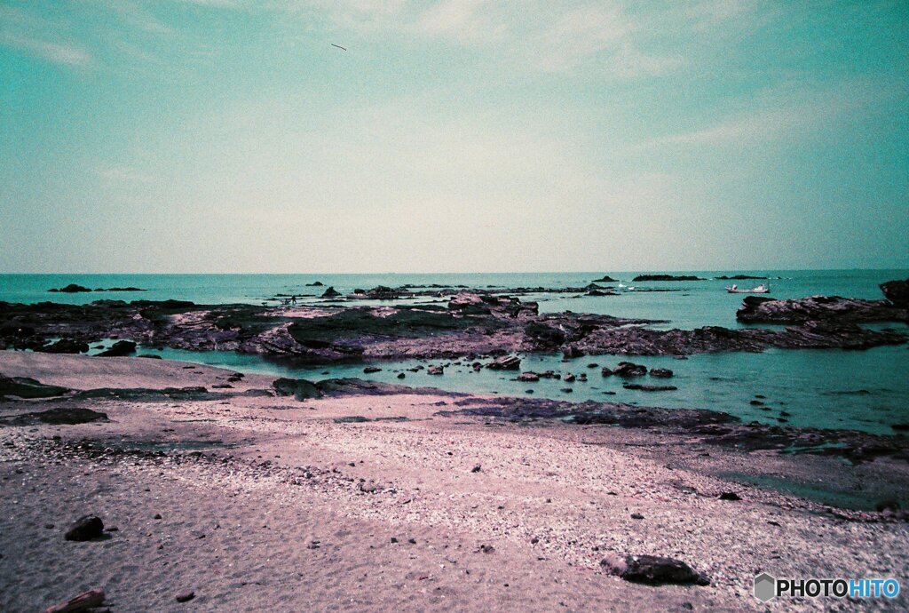 20200407_lomo_La-c+_2019LomochromePurple