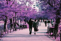 20200412_0426_CANON F-1_2019LomochromePu