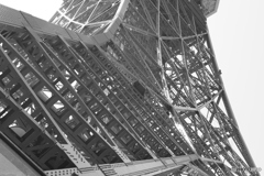 CANON9000D_EF50mm1,8F (20)