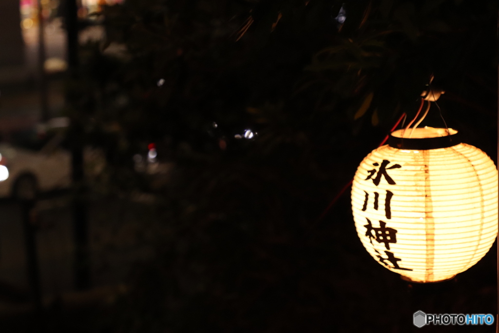 20200404_canon900D_目黒川 (282)