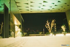 20200322_CANON F-1_フジカラー PRO400H (5)