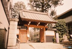 20200320LC-A_metropolis_linedown (24)