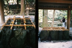 20191116_Olympus Pen EE-3_FUJIFILM200C_ 