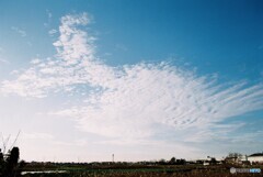 20200119_Canon_F-1_FUJIFILM200C_露出計未使用 (