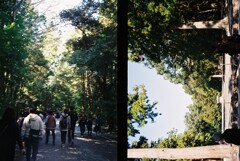 20191116_Olympus Pen EE-3_FUJIFILM200C_ 