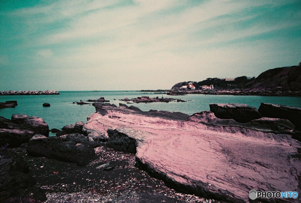 20200407_lomo_La-c+_2019LomochromePurple