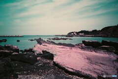 20200407_lomo_La-c+_2019LomochromePurple