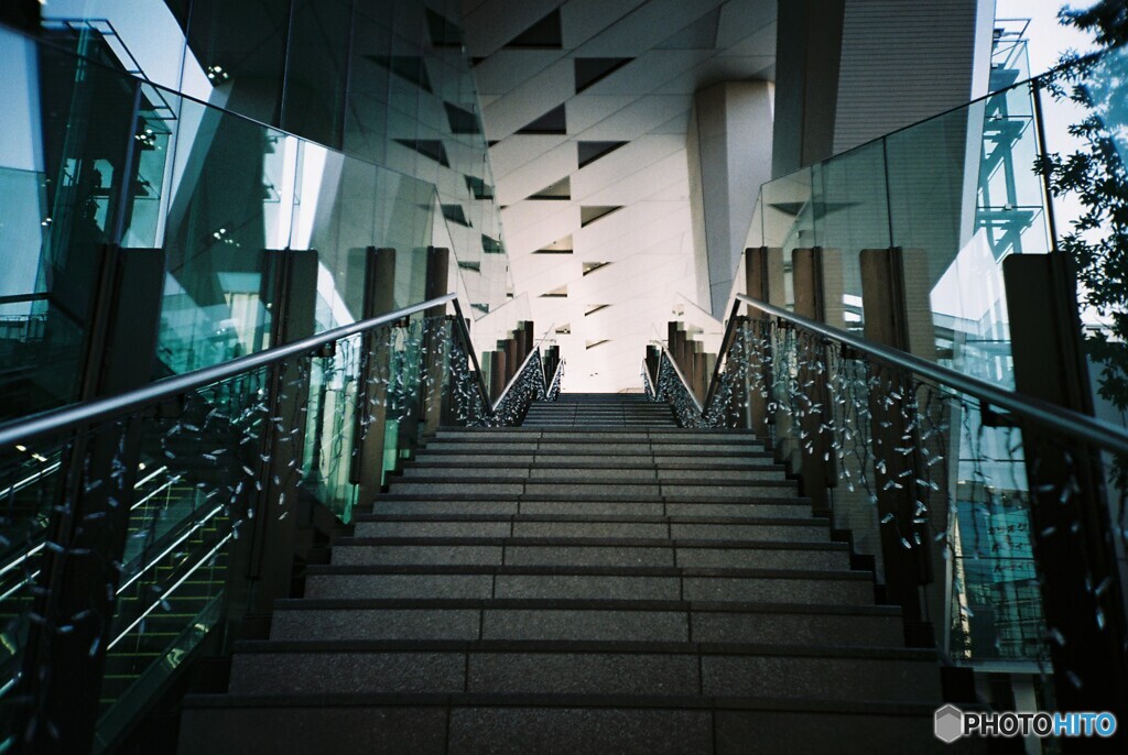 LC-A_20200216 (7)