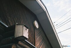 20200211_YASIKAE35_FUJIFILM200C (13)