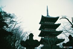 20200331_LC-A_Purple (27)