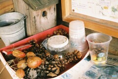 20200211_YASIKAE35_FUJIFILM200C (15)