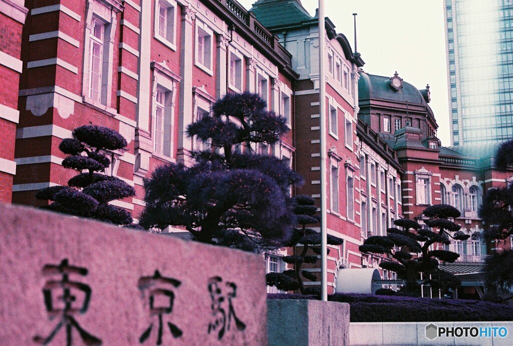 20200405_CANON F-1_2019LomochromePurple 