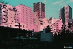 20200405_CANON F-1_2019LomochromePurple 