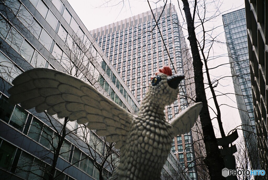 LC-A_20200216 (20)