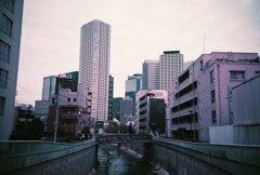 20200331_LC-A_Purple (4)