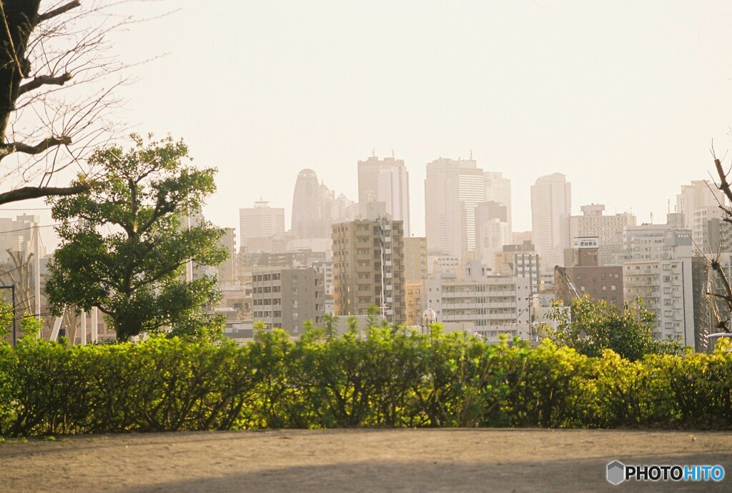 20200322_CANON F-1_フジカラー PRO400H (19)