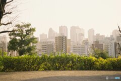 20200322_CANON F-1_フジカラー PRO400H (19)