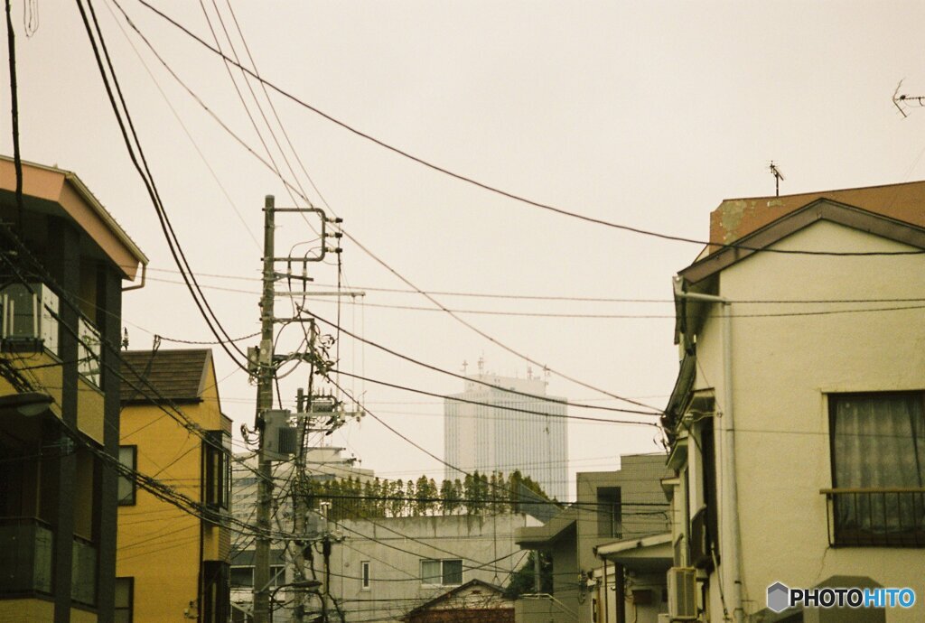 20200322_CANON F-1_フジカラー PRO400H (13)