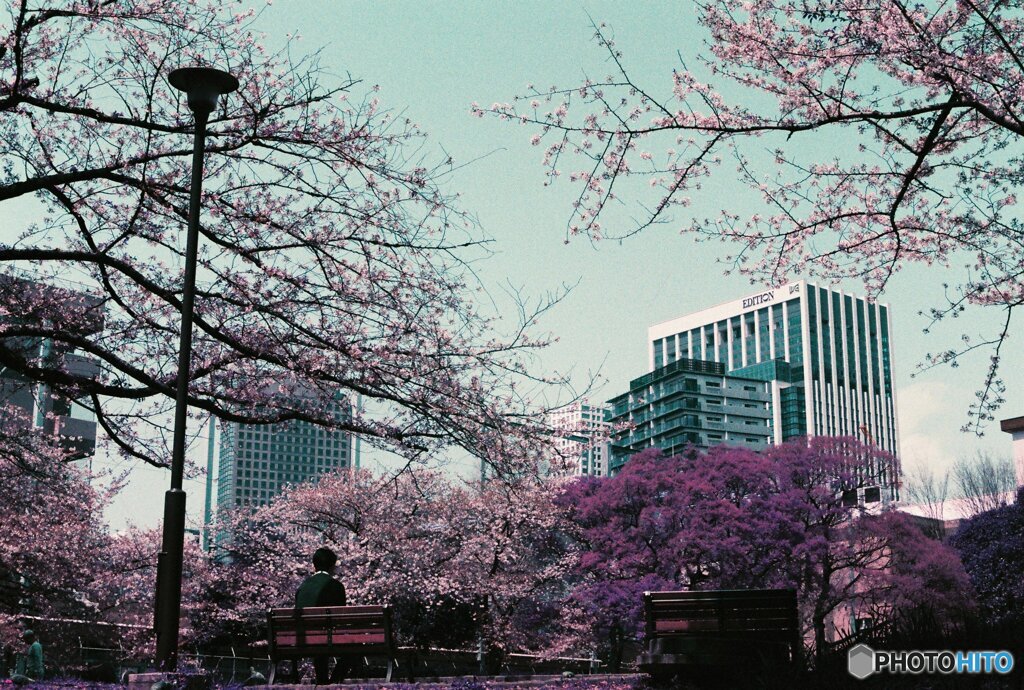 20200405_CANON F-1_2019LomochromePurple 
