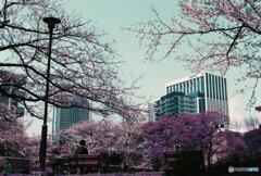20200405_CANON F-1_2019LomochromePurple 