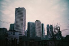 20200331_LC-A_Purple (3)