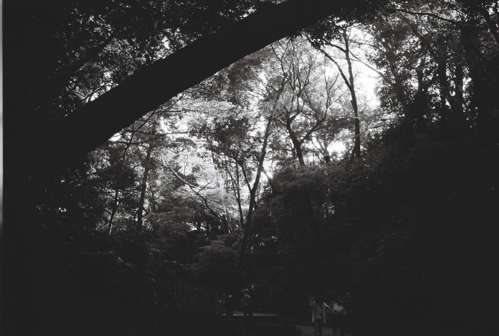 20200426_0502__CANON F-1_ACROS100 II (30