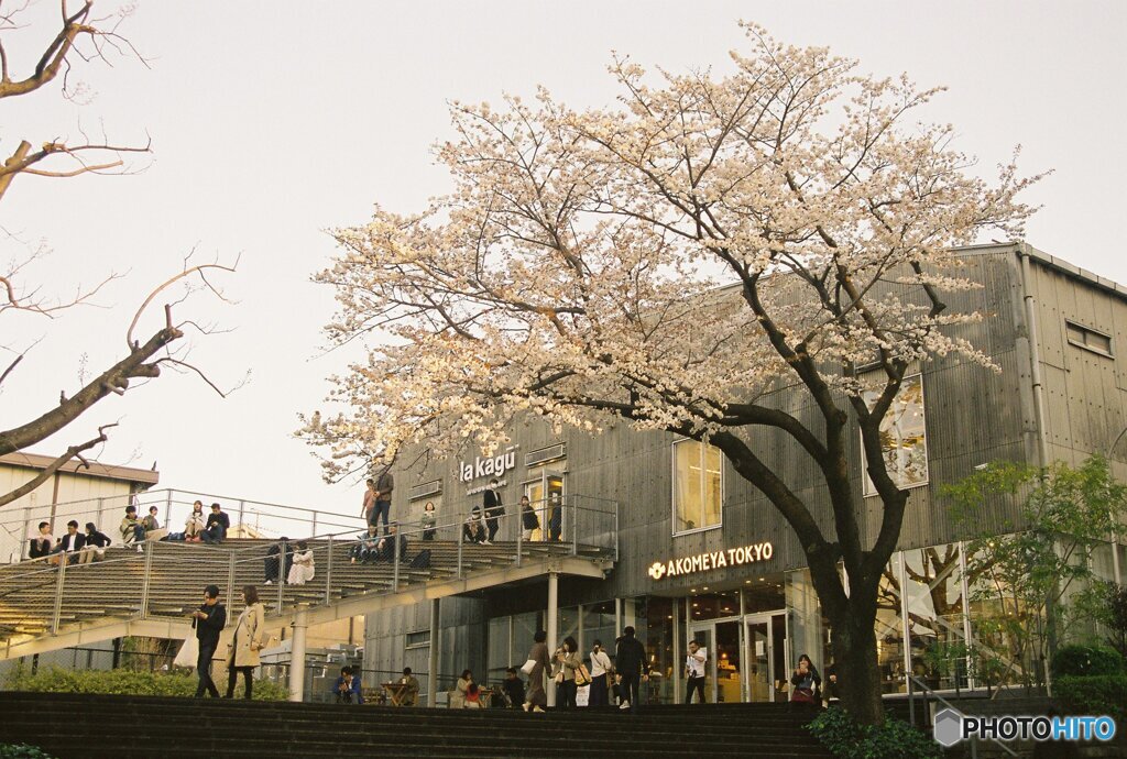 20200322_CANON F-1_フジカラー PRO400H (22)