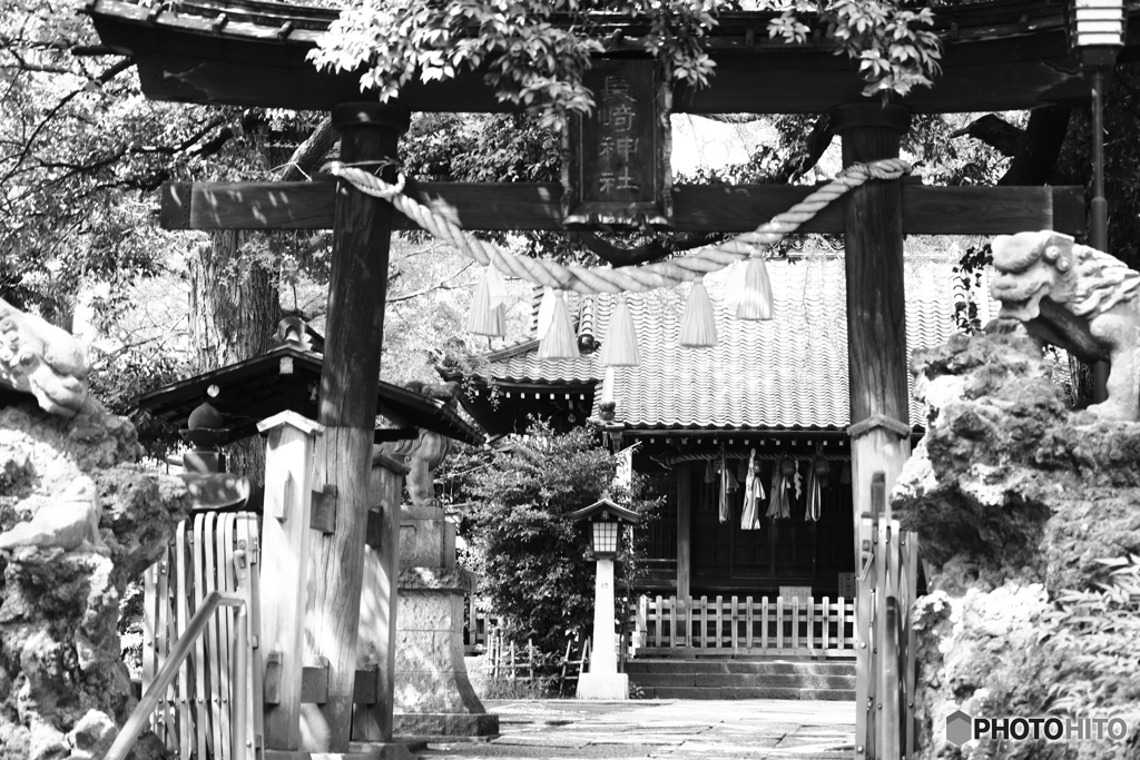 9000D_20200430 (8)