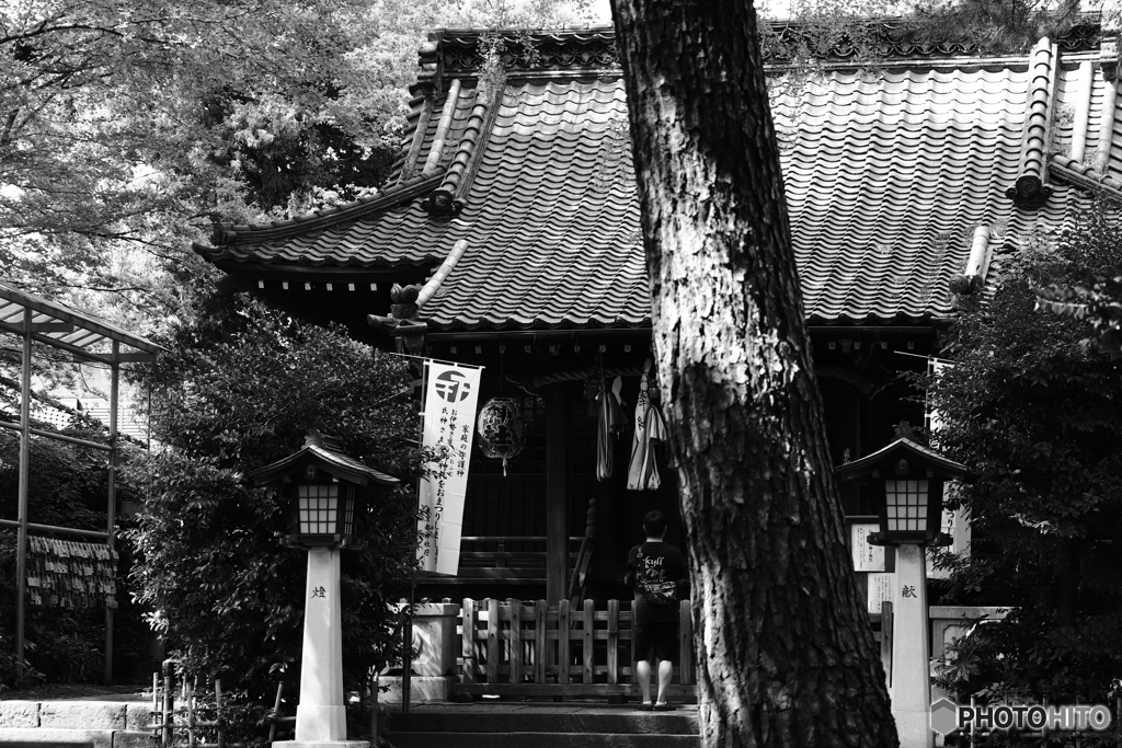 9000D_20200430 (12)