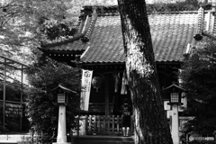 9000D_20200430 (12)