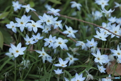 CANON9000D_EF50mm1,8F (12)