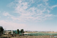 20200119_Canon_F-1_FUJIFILM200C_露出計未使用 (